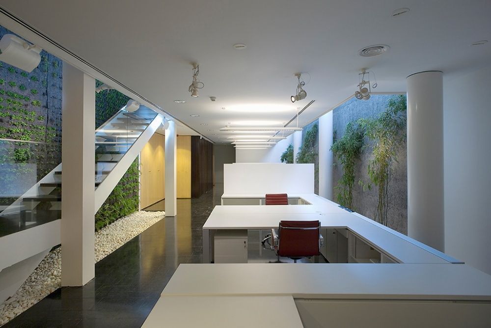 eustaquiomartinez-oficinas nueva dimensión-05